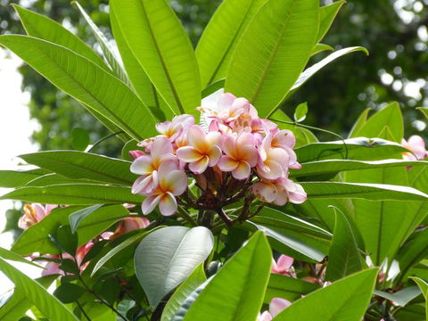 The Stables - Foster Accommodation 6
