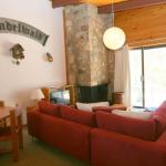 Grindelwald 1 / 39 Townsend Street - Foster Accommodation 0