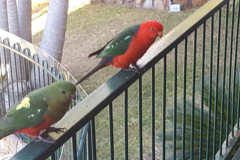 Serenity - Foster Accommodation 5