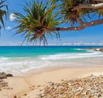 Coolum Classic Beach Shack Pet Friendly - Foster Accommodation