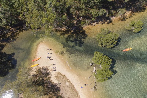 Sydney, Pittwater Eco YHA - Foster Accommodation 1