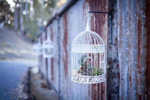 Fork N Farm Artisan Homestead - Foster Accommodation 4
