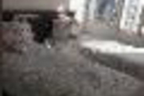 Central Coast Travellers Home - Foster Accommodation 2