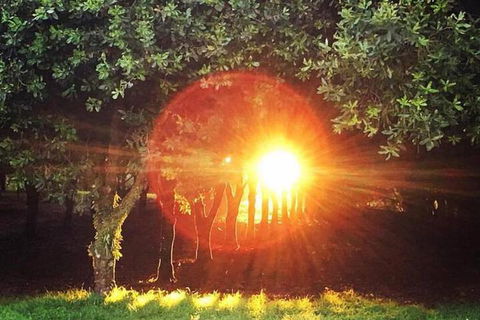 Glamping Byron Bay - Foster Accommodation 7