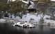 Moonbah Ski Lodge - thumb 2