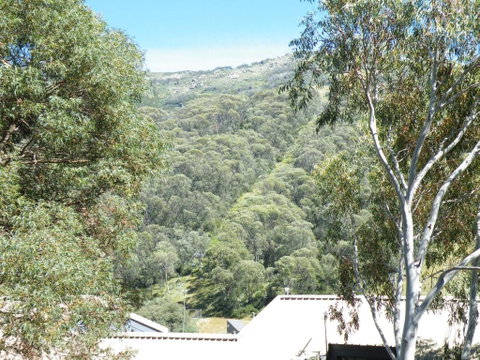 Mowamba E1 - Foster Accommodation 4