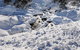 Mitta Mitta - thumb 5