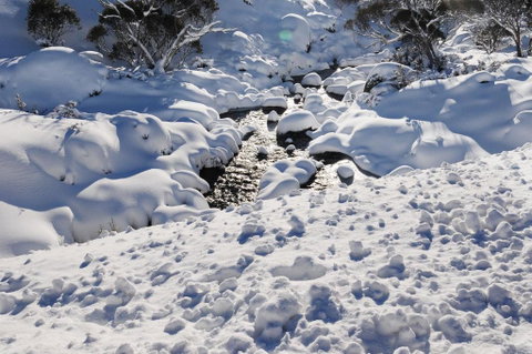 Mitta Mitta - Foster Accommodation 5