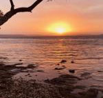 Paradise Beach Apartments - Foster Accommodation