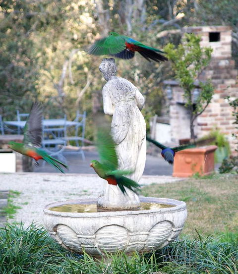 The Willows At Kurrajong - Foster Accommodation 4