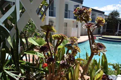 West Beach Lagoon 211 - Great Views - Foster Accommodation 2