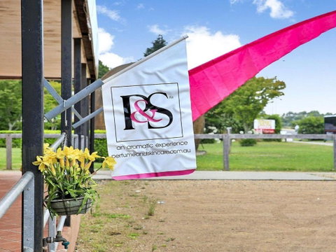 Misty Creek Of Robertson Proximity & Privacy - Foster Accommodation 3