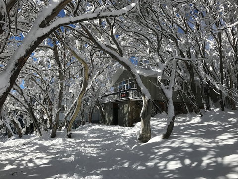 Amber Lodge Mt Buller - Hostel - Foster Accommodation 2