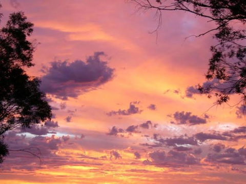 Sunset View Bb Forbes Nsw - Foster Accommodation 0