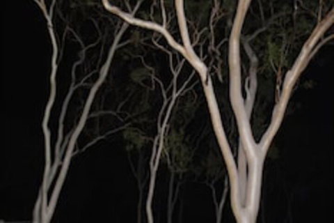 Sunbird Motel - Foster Accommodation 4