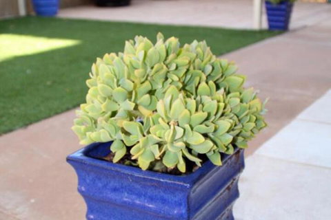 Sunset Retreat - Foster Accommodation 3