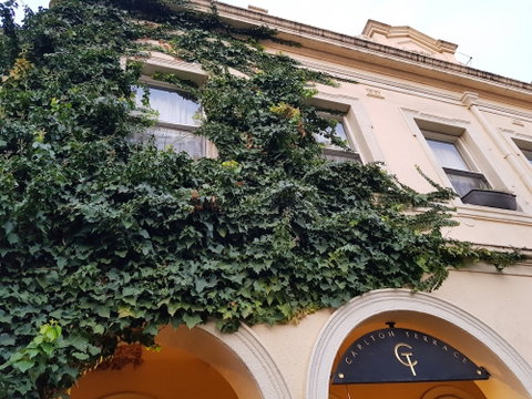 Carlton Terrace - Foster Accommodation 1