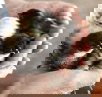 Margaret River Hideaway - Foster Accommodation