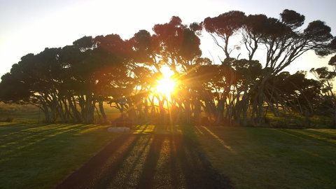 Low Head Tourist Park - Caravan Park - Foster Accommodation 1