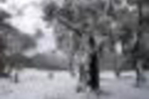 Twin Seasons 5 Deluxe Holiday Apartment - Foster Accommodation 4