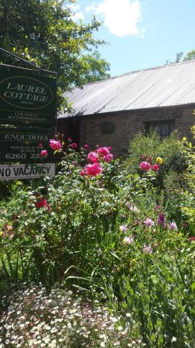 Laurel Cottage - Foster Accommodation 5