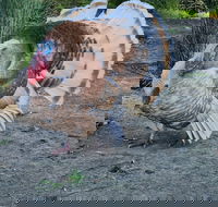 Halls Haven Holiday Units - Foster Accommodation