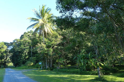 Daintree Valley Haven - Foster Accommodation 1