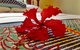 Cow Bay Homestay B & B - thumb 5