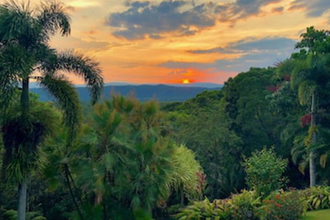 Daintree Manor Bed & Breakfast - Foster Accommodation 0