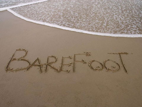 Barefoot 7 / 44 Marine Drive Fabulous Fingal Bay - Foster Accommodation 4