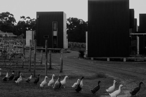 Barn Hives Yallingup - Foster Accommodation 1