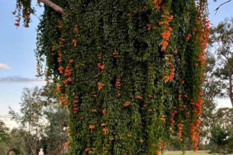 Amarina Farm Stay & Gardens - Foster Accommodation 6