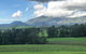 Woodenbong Roseberry House B & B - thumb 4