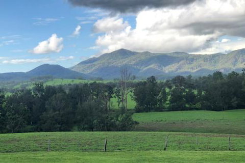 Woodenbong Roseberry House B & B - Foster Accommodation 4