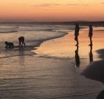 Cromarty Cottage 900m from Birubi Beach