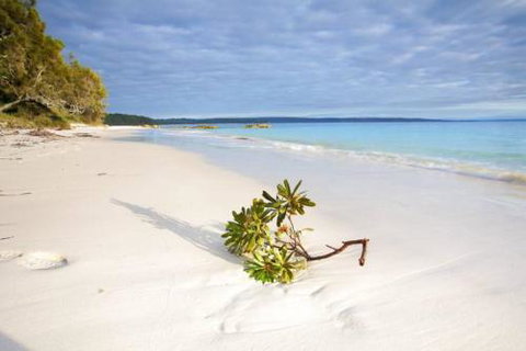 24 Hyam Road Hyams Beach - Foster Accommodation 3