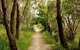 24 Hyam Road Hyams Beach - thumb 1