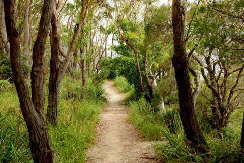 24 Hyam Road Hyams Beach - Foster Accommodation 1