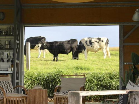 THE SHED Gerroa 4pm Checkout On Sundays & Public Holidays - Foster Accommodation 6