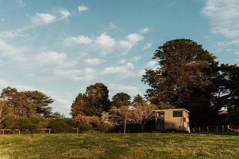 Bedervale Tiny - Foster Accommodation 6