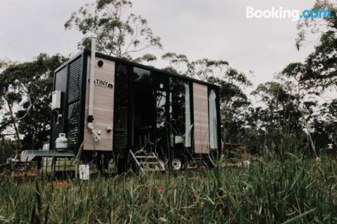 Blackwood Tiny - Foster Accommodation 1