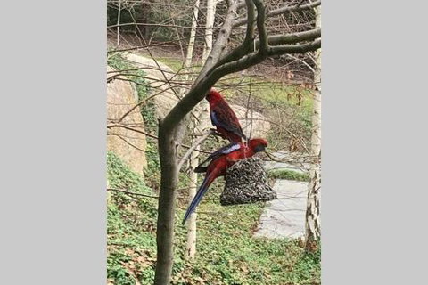 Mt Martha Couples Retreat - Foster Accommodation 4