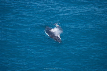 Apartments Located At Blue Seas Resort - Foster Accommodation 3