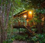 Wildwood - Foster Accommodation