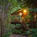 Wildwood - Foster Accommodation 0