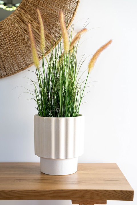 Blue Cottage Bruny Island - Foster Accommodation 2