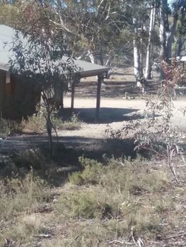 Gooandra Alpine Cabins - Foster Accommodation 1