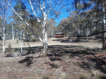 Gooandra Alpine Cabins - Foster Accommodation 6