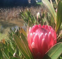 Creswick Cabin Retreat - Foster Accommodation