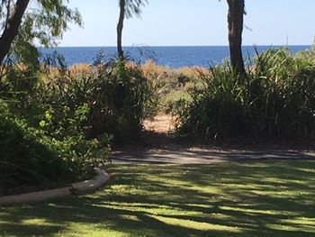 On The Shores Of Geographe Bay - Foster Accommodation 5